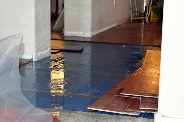 Professional Flood Damage Restoration technician working in Ashuelot, NH